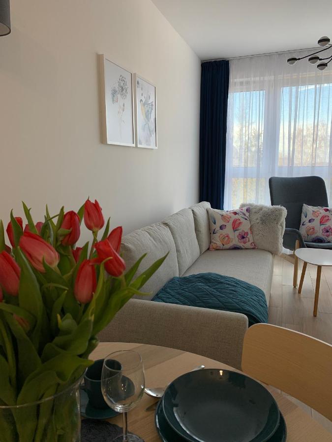 Apartamenty Bliska 33 Bielsko-Biała Exterior photo